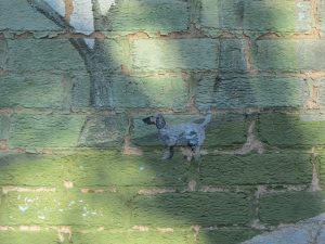Jack McEneny's dog stood in front of the Steamer 10 firehouse on the original mural